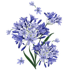 bouquet of blue flowers - 334625025