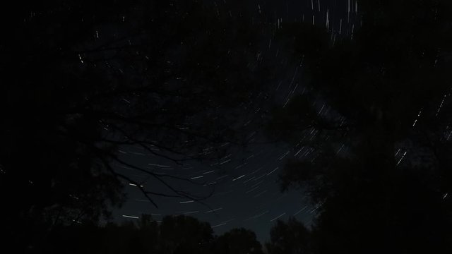 A cumulative or continuous star trail timelapse of the dark night sky in Wisconsin with stars creating a circular pattern about a center point and faint outline of trees at the horizon.