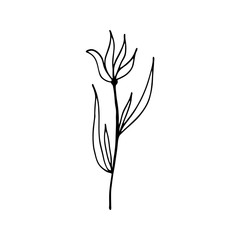 Colorful black and white pattern for coloring. Daisy flower illustration.