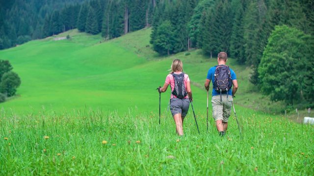 Back view of trekking people using poles and wearing backpacks, walking away towards a green valley surrounded by spruce forest.