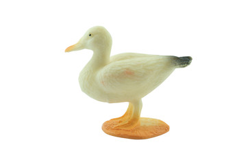 duck toy