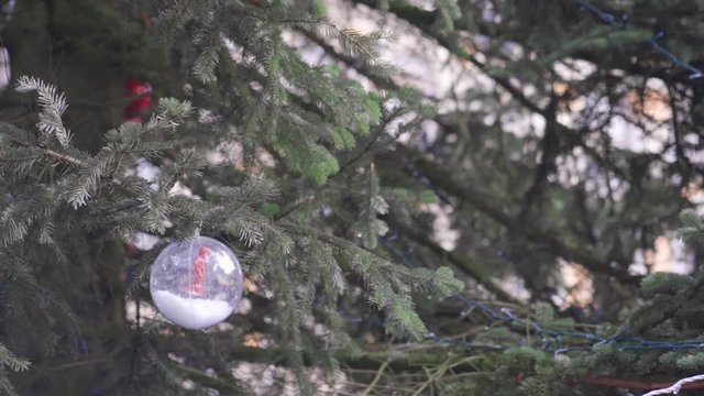 Charismatic christmas ball with Manneke Pis inside, hanging in a big tree in Brussels, Belgium.