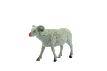Obraz premium Sheep toy