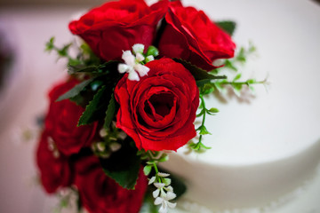 Rosas Vermelhas