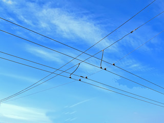 electrical powerful high voltage wire cables heap for transport (urban electrical traffic as trolleybus) on blue sky with white clouds