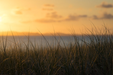 Sunset over ocean and grass closeup