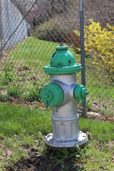 Green and silver fire hydrant