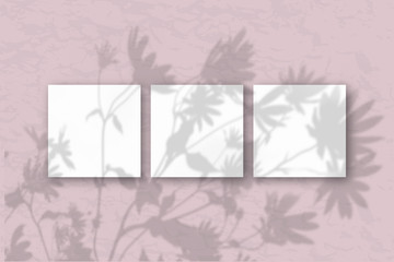 3 square sheets of white textured paper on a pink wall. Mockup overlay with the plant shadows.Natural light casts shadows from flowers and leaves of daisies. Flat lay, top view