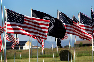 usa and american flags