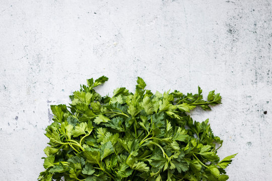 A bunch of parsley on table. Copy space