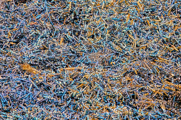 Close-up of a huge pile of iron filings in a wagon on the way to a steel mill, as texture, pattern...