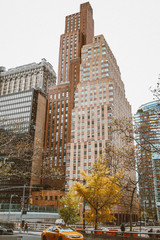 NYC fall