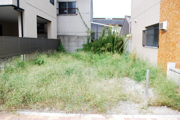 空地 © apoptosis