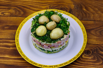 Fototapeta na wymiar Traditional Russian layered salad 