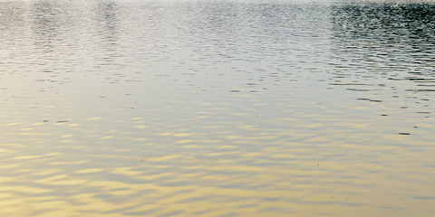 Fototapeta na wymiar Tranquil standing water surface. Natural pattern texture and colour. Sunlight reflection summer sunset. Nature photography background. Copy space room for text on front side.