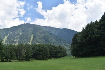 landscape in the mountains