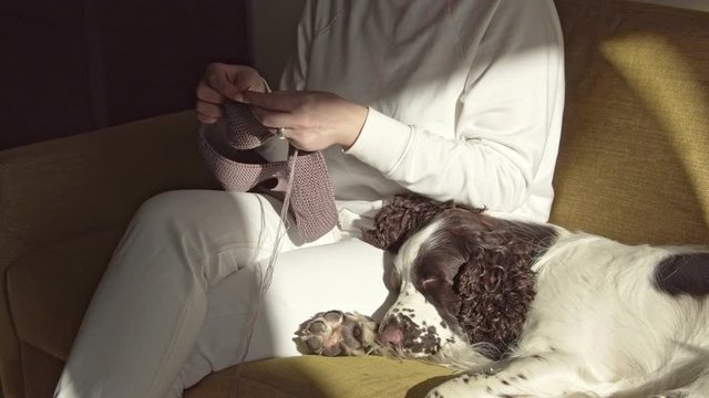 Woman knitting scarf with dog lying on the couch