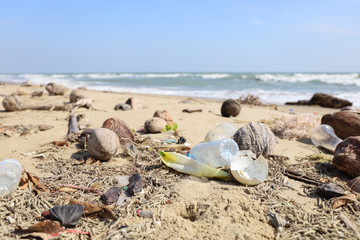 Fototapeta na wymiar Many Garbage or Plastic bottle waste are on natural beach sand, environment pollution of earth and water animal in ocean 