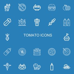Editable 22 tomato icons for web and mobile