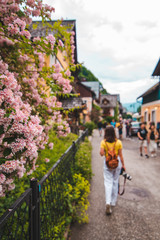 Fototapeta na wymiar blooming flowers of bushes at hallstatt city in austria