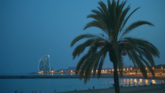 Barcelona Beach at Night Landscape