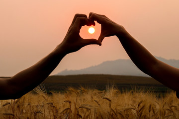 The silhouette of a lover uses a heart-shaped symbol above the golden barley fields to symbolize friendship, love, and compassion.
