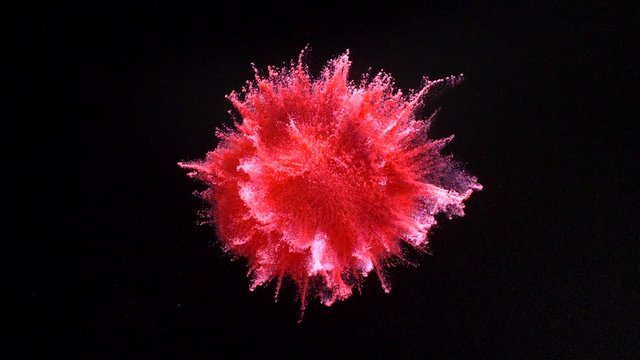 In real slow motion footage against a black background, a circular pile of pink powder explodes in all four directions like a firework until the powder begins to fall out of the air.