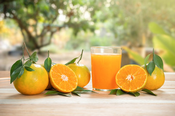 Squeezed orange juice and fresh fruit placed on a wooden table in the garden