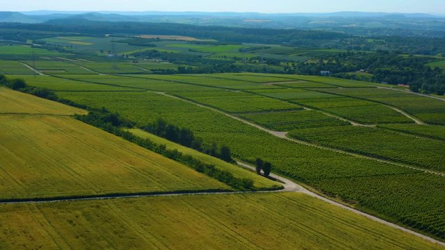 Aerial view of Vineyards close to city Mundelsheim in Germany. 