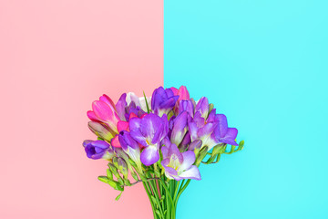 Bouquet of sprig freesia flowers isolated on pink, blue background Floral holiday card Top view Flat lay