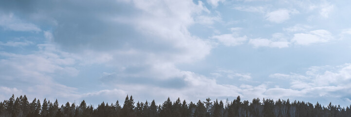 Nature background. Wallpaper pattern. Dark scary park. Landscape misty panorama. Sky with clouds.Stock photo.