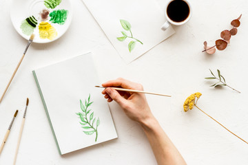 Painting. Female hands draw herbs on white background top-down