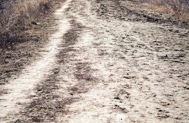 Sand road. Texture of the road