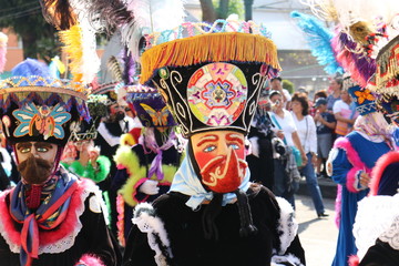 carnaval xochimilco