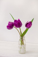 Tulip Spring Flowers In Vase