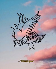 bird in flight