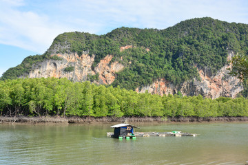  Ban Hin Rom, Pang Nga bay, Phang Nga Province, Thailand