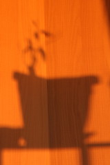 Shadow of a flower pot with a plant on an orange sunny background. Stock illustration for web and print with empty space for text and design.