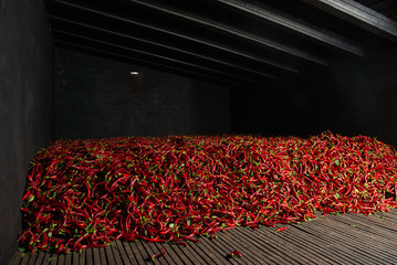 Secadero de pimiento para la elaboración de pimentón en la comarca extremeña de La Vera.