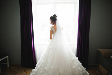 Fototapeta premium Gorgeous bride in robe posing and preparing for the wedding ceremony face in a room