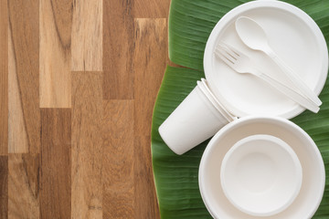 Natural eco-friendly disposable utensils (fork, spoon, dish plate, bowl and cup) made of fiber of...