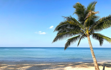 Naklejka na ściany i meble Beach and palm trees on the island of Phuket in Thailand