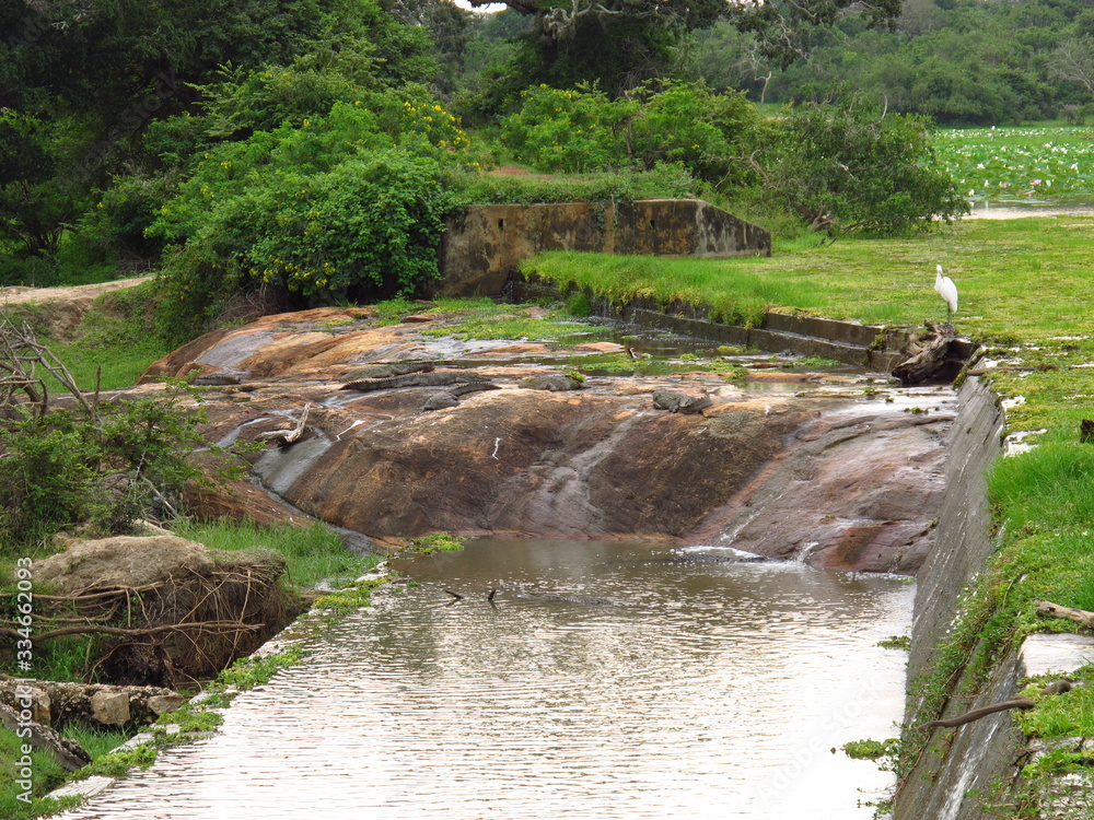 Canvas Prints The small river in the ancient ruins close Yala National park, Sri Lanka