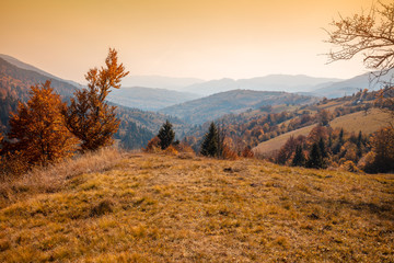 Fototapeta premium Autumn in the mountains. View of the mountains in autumn. Beautiful nature landscape. Carpathian mountains. Synevyr Pass, Zakarpattia Oblast, Ukraine