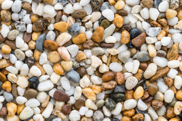 Flat lay of wet sea stones texture background. Abstract shape pattern from nature.