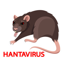 Vector agressive ugly brown rat hantavirus carrier