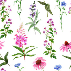 Watercolor seamless pattern, pink wild field flowers and herbs