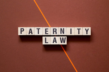 Paternity law word cpncept on cubes