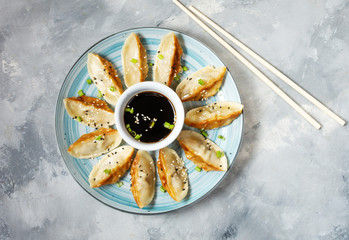 Japanese gyoza or dumplings snack with soy sauce on a concrete background.