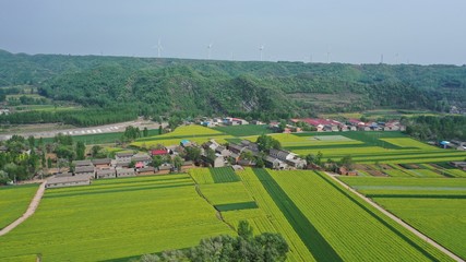 Aerial photography of villages in a valley and yellow rapeseed fields, beautiful rural scenery